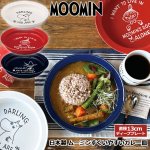 画像1: 日本製 ムーミンすくいやすいカレー皿 (1)