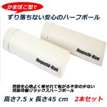 画像2: 快適フィットネス 安心ハーフポール Hogushi-kun 2本セット　 (2)