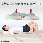 画像3: 快適フィットネス 安心ハーフポール Hogushi-kun 2本セット　 (3)