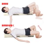 画像11: 快適フィットネス 安心ハーフポール Hogushi-kun 2本セット　 (11)