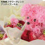 画像1: 光触媒フラワーアレンジ プリティプードル (1)