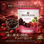 画像1: BROOKSIDE-ブルックサイド- ダークチョコレート ゴジ＆ラズベリー 235g x 2袋セット (1)