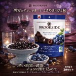 画像1: BROOKSIDE-ブルックサイド- ダークチョコレート アサイー＆ブルーベリー 235g x 2袋セット (1)
