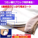 画像6: しっかり吸水する特許取得品！5層構造安心ショーツ 1点 (6)