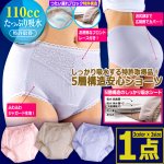 画像1: しっかり吸水する特許取得品！5層構造安心ショーツ 1点 (1)