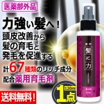 画像1: 送料無料！脱毛予防×発毛促進×頭皮改善！薬用育毛剤 髪に力120ml 1点 (1)