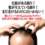 画像2: 送料無料！脱毛予防×発毛促進×頭皮改善！薬用育毛剤 髪に力120ml 3点 (2)