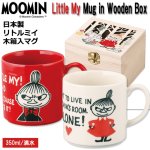 画像1: 日本製 リトルミイ木箱入マグ (1)