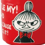 画像5: 日本製 リトルミイ木箱入マグ (5)