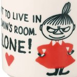 画像8: 日本製 リトルミイ木箱入マグ (8)