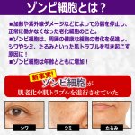 画像3: 送料無料！ゾンビ細胞28日間の集中ケア美容液！ヴィランカ30ml 1点 (3)