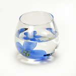 画像5: 日本製 ゆらりグラスFLORA (5)
