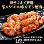 画像5: 送料無料！焼肉専門店熱烈カルビ厳選！国産ホルモン4種セット計600g (5)