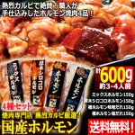 画像1: 送料無料！焼肉専門店熱烈カルビ厳選！国産ホルモン4種セット計600g (1)