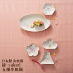画像9: 日本製 和食器 縁-yukari-五様小皿揃 (9)