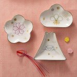 画像3: 日本製 和食器 縁-yukari-五様小皿揃 (3)