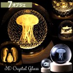 画像8: 送料無料！3DスカルプチャーLEDクリスタルボール (8)