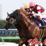 画像5: ウインカーネリアン 2025年スプリンターズステークス ジグソーパズル 500ピース (5)