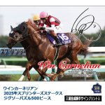 画像8: ウインカーネリアン 2025年スプリンターズステークス ジグソーパズル 500ピース (8)