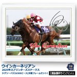 画像8: ウインカーネリアン 2025年スプリンターズステークス ジグソーパズル 500ピース木製フレームセット (8)