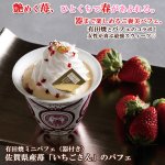 画像1: 有田焼ミニパフェ（器付き）佐賀県産苺「いちごさん」のパフェ (1)