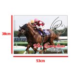 画像7: ウインカーネリアン 2025年スプリンターズステークス ジグソーパズル 500ピース (7)