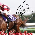 画像6: ウインカーネリアン 2025年スプリンターズステークス ジグソーパズル 500ピース (6)