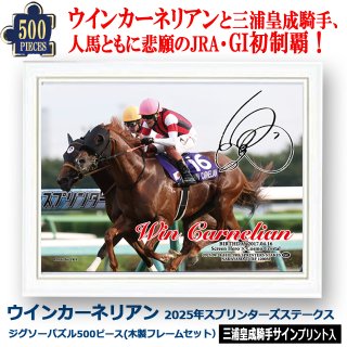 エフフォーリア」ジグソーパズル500ピース（木製フレームセット）SNT-EJPF