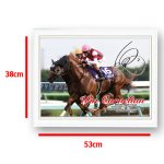 画像7: ウインカーネリアン 2025年スプリンターズステークス ジグソーパズル 500ピース木製フレームセット (7)