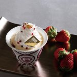 画像11: 有田焼ミニパフェ（器付き）佐賀県産苺「いちごさん」のパフェ (11)