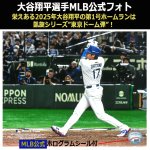 画像5: 世界限定品！LAドジャース大谷翔平選手2025の軌跡 東京ドーム凱旋メモリアルサイン入りボール＆フィギュアコレクション (5)