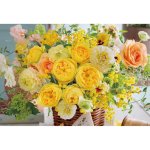 画像2: ジグソーフラワーシリーズ「幸運のビバーチェ」フレームセット（1000P） (2)