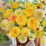 画像3: ジグソーフラワーシリーズ「幸運のビバーチェ」フレームセット（1000P） (3)