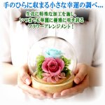 画像3: 幸せのプリザーブドフラワーアレンジメント クリスタルドームセット (3)