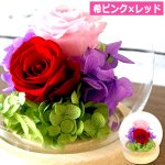 画像6: 幸せのプリザーブドフラワーアレンジメント クリスタルドームセット (6)