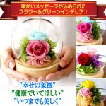 画像6: 母の日企画 ホシフルーツ あまおうのクリームいちご大福fuwaru3個入＆幸せのプリザーブドフラワーアレンジメント クリスタルドームセット (6)