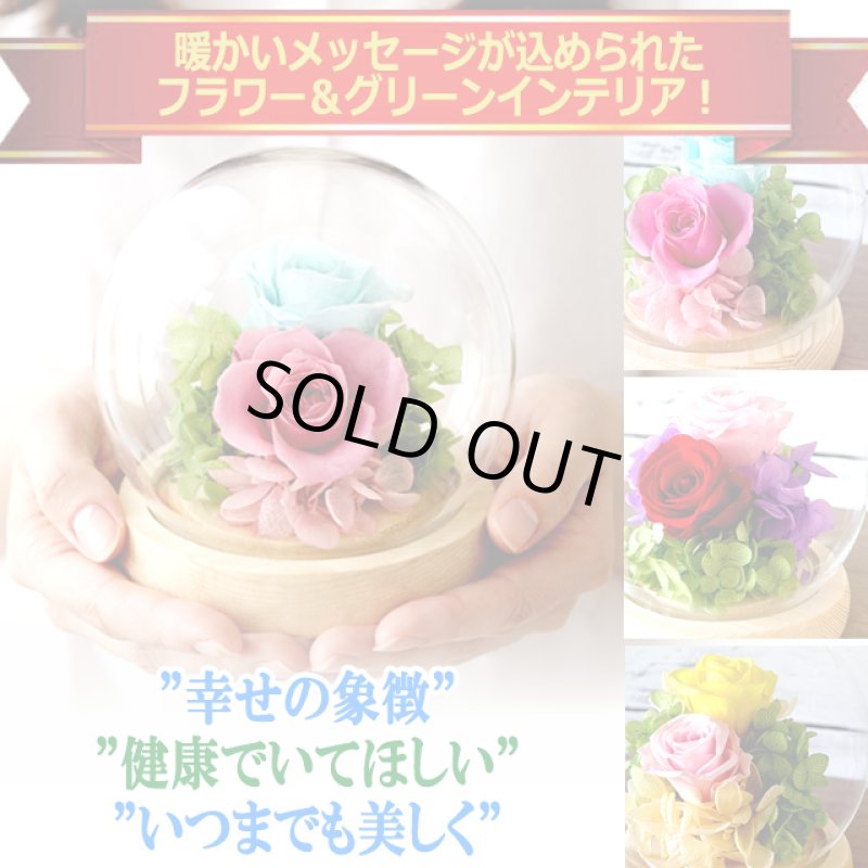 画像6: 母の日企画 ホシフルーツ あまおうのクリームいちご大福fuwaru3個入＆幸せのプリザーブドフラワーアレンジメント クリスタルドームセット (6)