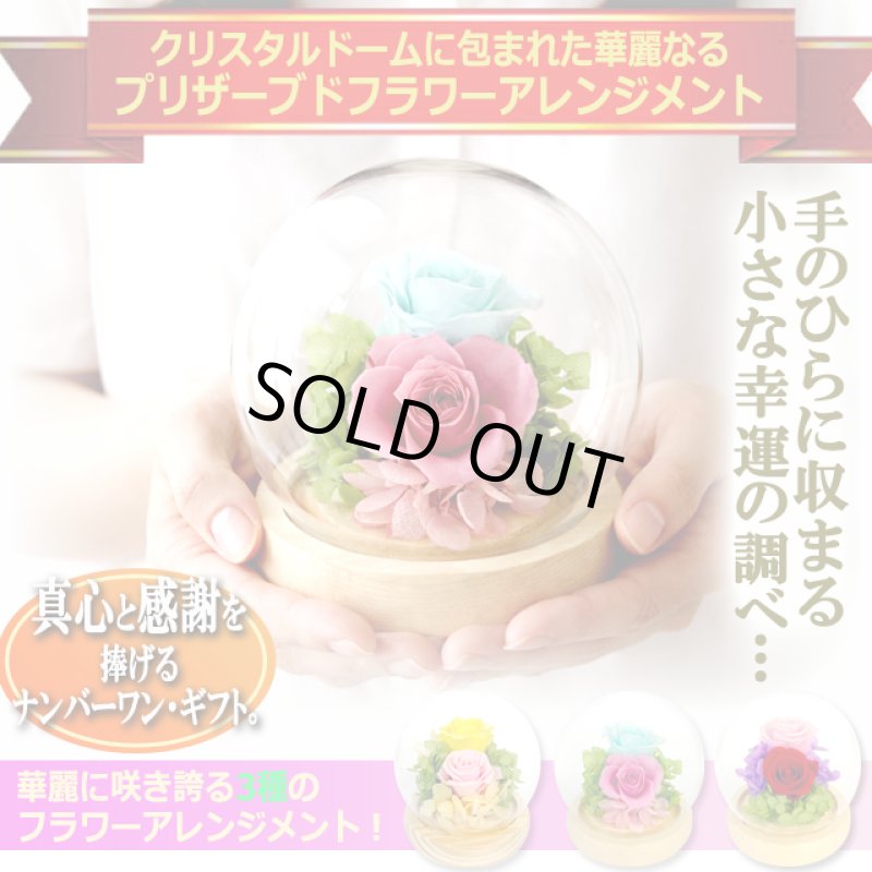 画像9: 母の日企画 ホシフルーツ あまおうのクリームいちご大福fuwaru3個入＆幸せのプリザーブドフラワーアレンジメント クリスタルドームセット (9)