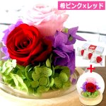 画像11: 母の日企画 ホシフルーツ あまおうのクリームいちご大福fuwaru3個入＆幸せのプリザーブドフラワーアレンジメント クリスタルドームセット (11)