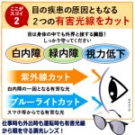画像4: ブルーグレーにレンズカラーが変化！プレミアムセレブ調光グラス (4)