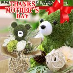 画像1: 光触媒フラワーアレンジ プリティベアー (1)