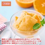 画像5: 2026年夏季限定 ホシフルーツ フルーツパーラーの凍らせて食べるシャーベット 彩果しずく 4種セット (5)