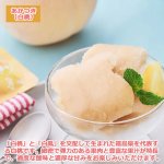 画像6: 2026年夏季限定 ホシフルーツ フルーツパーラーの凍らせて食べるシャーベット 彩果しずく 4種セット (6)
