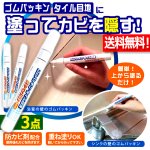 画像1: 送料無料 塗った瞬間カビを隠す！ゴムパッキン＆タイル目地の修正ペン110番 3点 (1)