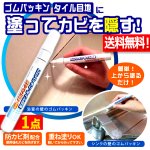 画像1: 送料無料 塗った瞬間カビを隠す！ゴムパッキン＆タイル目地の修正ペン110番 1点 (1)