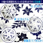 画像2: 晴雨兼用 百花涼藍 ひゃっかりょうらん 折りたたみ傘 遮光コーティングVer (2)