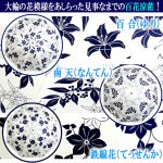 画像2: 晴雨兼用 百花涼藍 ひゃっかりょうらん 長傘 遮光コーティングVer (2)