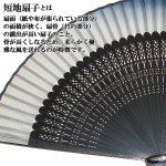 画像3: 涼風 紳士短地扇子 柄抜き (3)