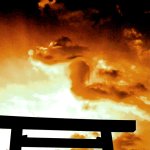 画像3: 幸運をもたらす奇跡の写真「黄金の時」 (3)