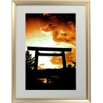 画像11: 幸運をもたらす奇跡の写真「黄金の時」 (11)